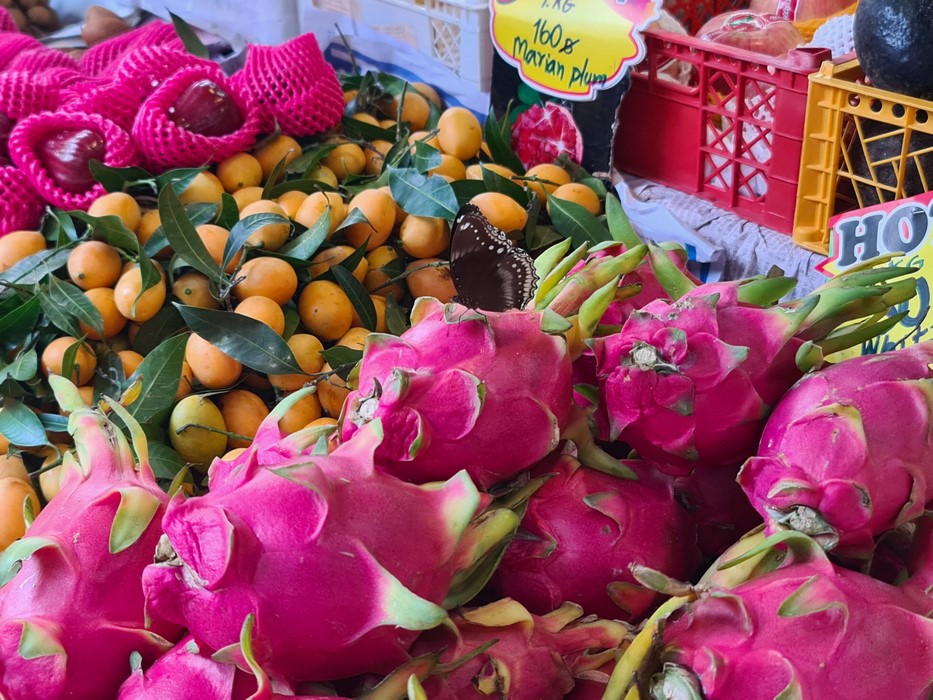 Dragon fruit