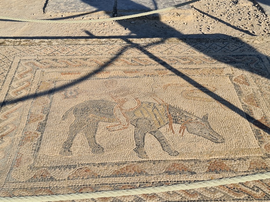 Mozaic roman