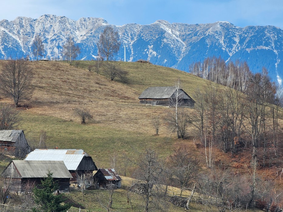 Bucegi