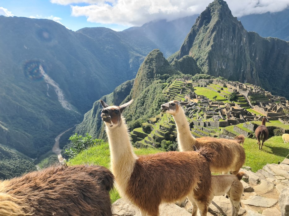 Lame la Machu Picchu