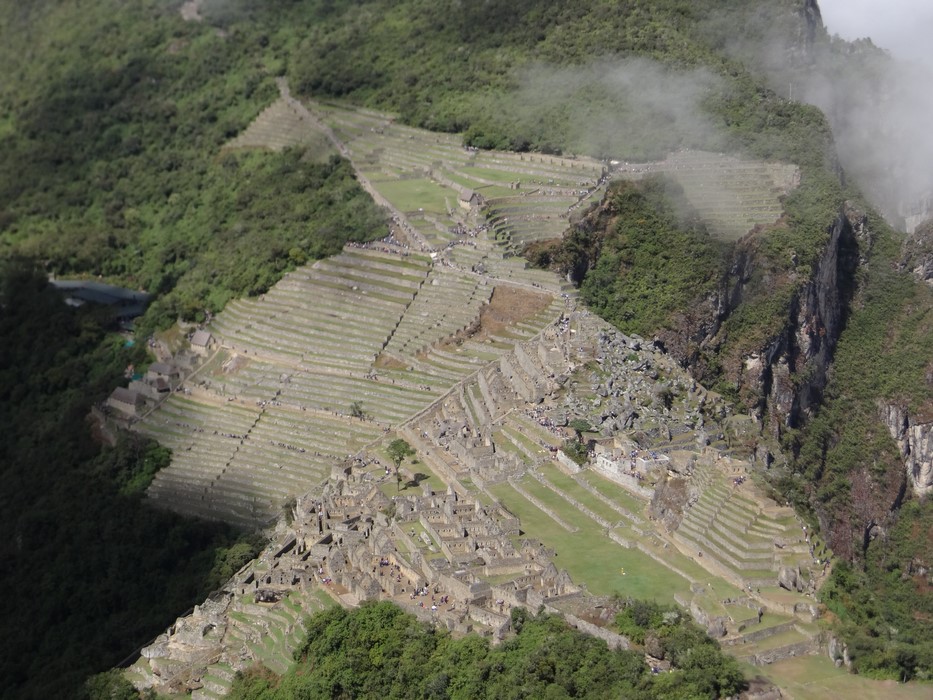 Condor Machu PIcchu