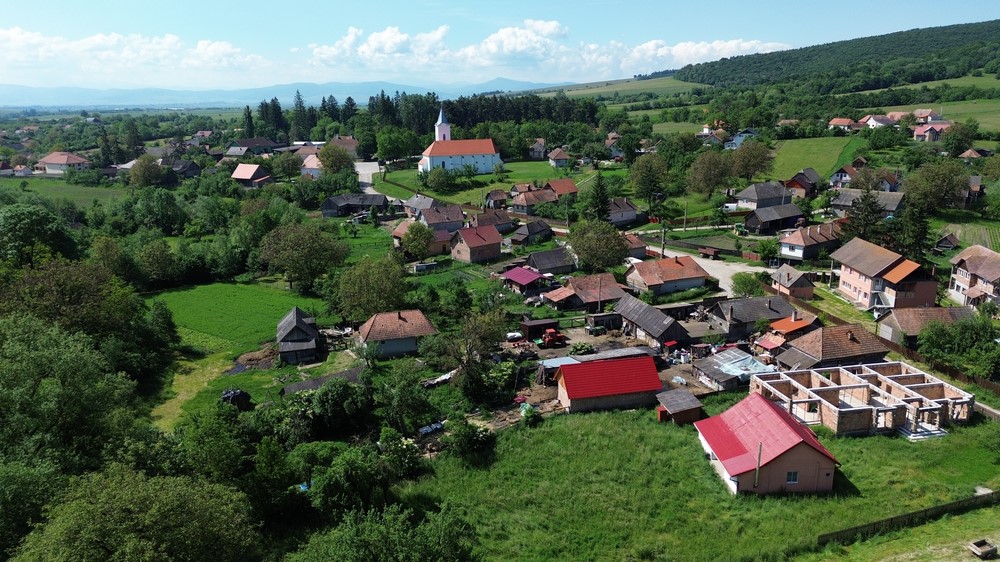 Dalnic