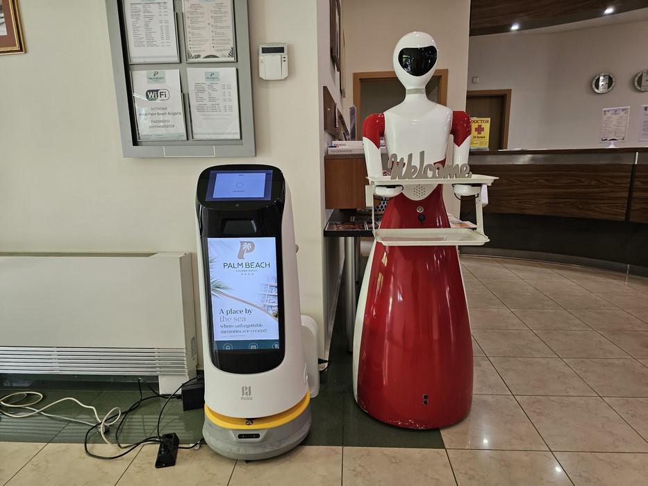 Robot cu roboata