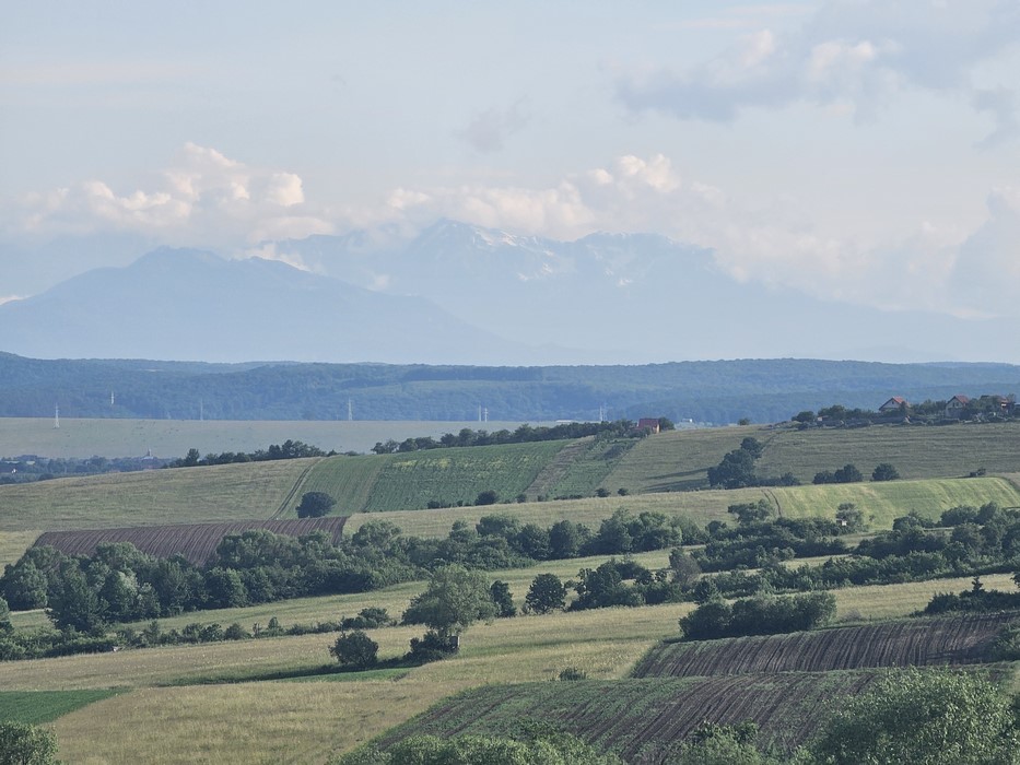 Bucegii