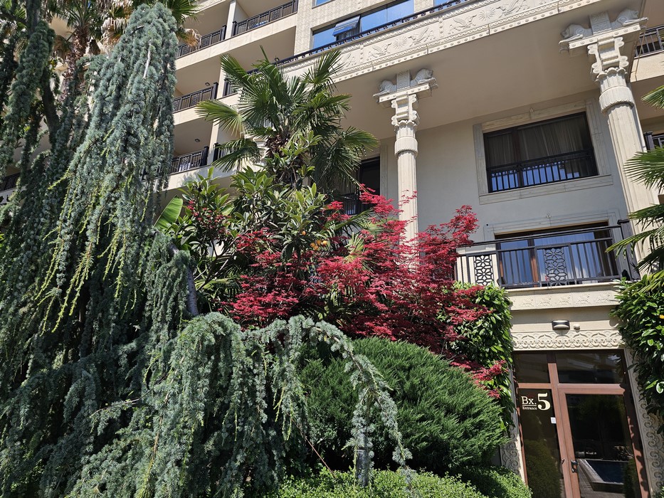 Flori Hotel Argisht Partez