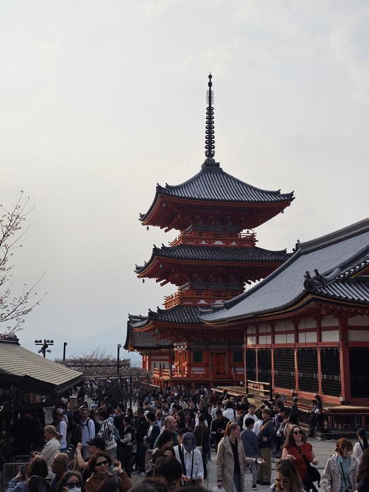 Templu Kyoto