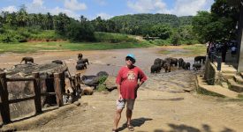 Pinnalawa Sri Lanka