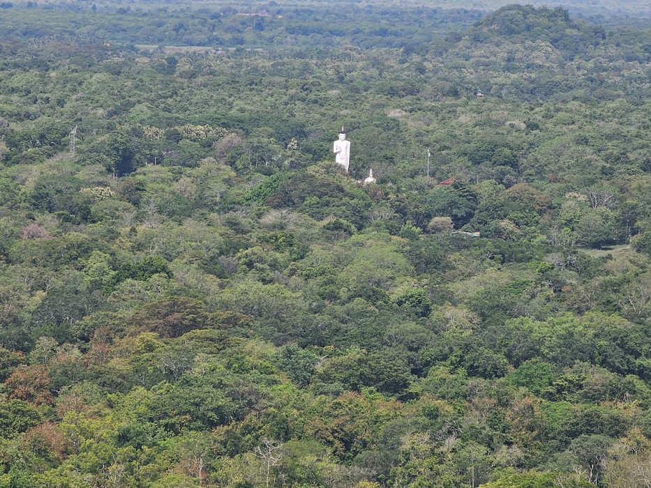 Panorama Sigirya